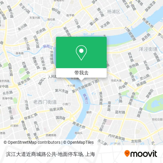 滨江大道近商城路公共-地面停车场地图
