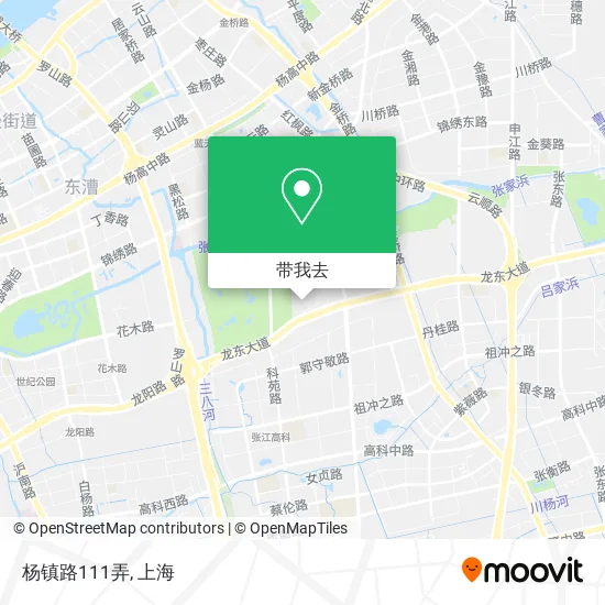 杨镇路111弄地图