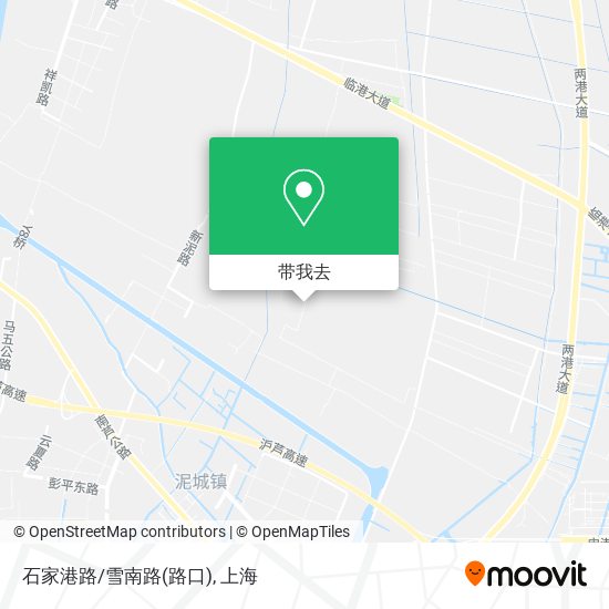 石家港路/雪南路(路口)地图
