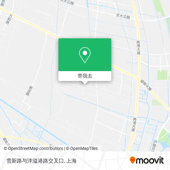 雪新路与洋溢港路交叉口地图