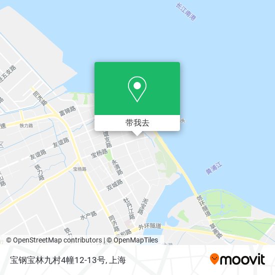 宝钢宝林九村4幢12-13号地图