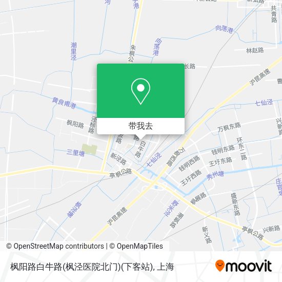 枫阳路白牛路(枫泾医院北门)(下客站)地图