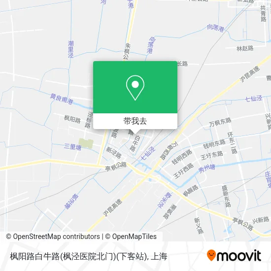 枫阳路白牛路(枫泾医院北门)(下客站)地图