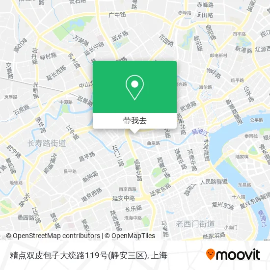 精点双皮包子大统路119号(静安三区)地图