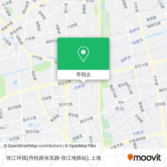 张江环线(丹桂路张东路-张江地铁站)地图