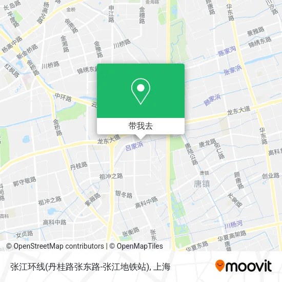 张江环线(丹桂路张东路-张江地铁站)地图