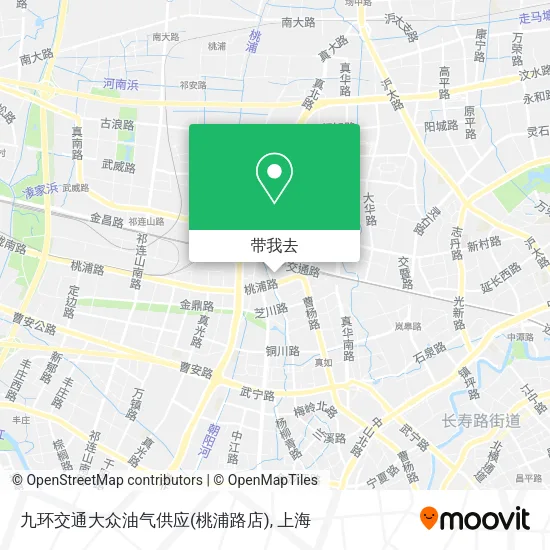 九环交通大众油气供应(桃浦路店)地图