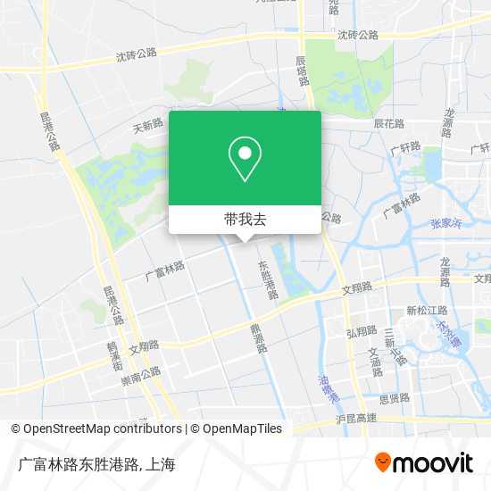 广富林路东胜港路地图