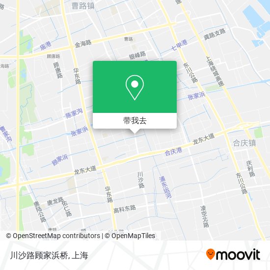 川沙路顾家浜桥地图