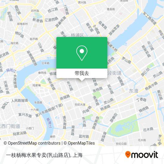 一枝杨梅水果专卖(乳山路店)地图