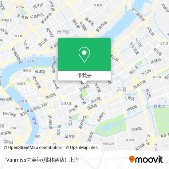 Vanmiss梵美诗(桃林路店)地图