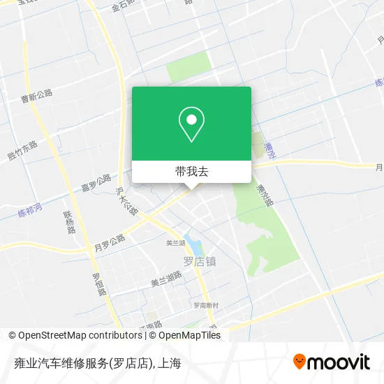 雍业汽车维修服务(罗店店)地图