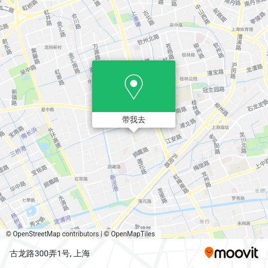 古龙路300弄1号地图