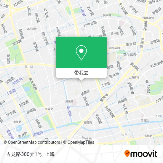 古龙路300弄1号地图
