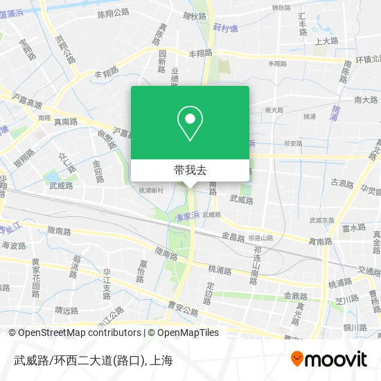 武威路/环西二大道(路口)地图