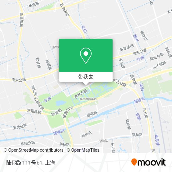 陆翔路111号b1地图