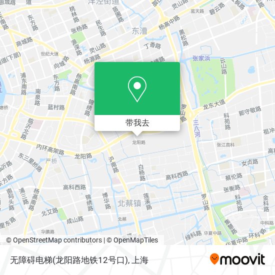 无障碍电梯(龙阳路地铁12号口)地图