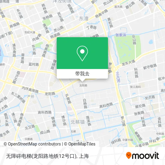 无障碍电梯(龙阳路地铁12号口)地图