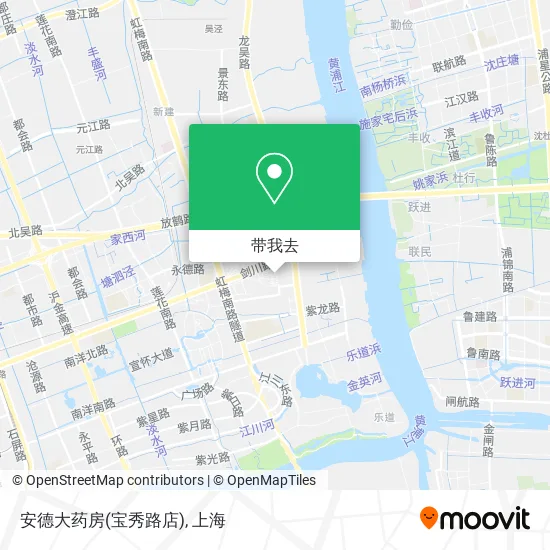 安德大药房(宝秀路店)地图