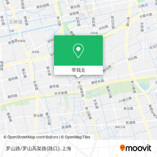 罗山路/罗山高架路(路口)地图