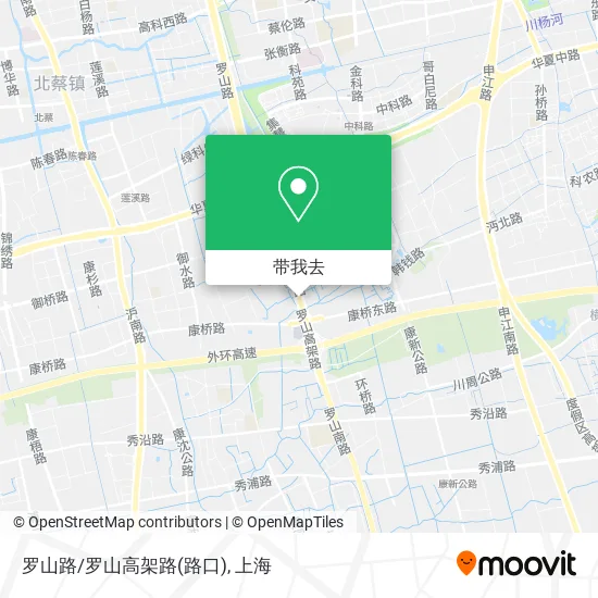 罗山路/罗山高架路(路口)地图