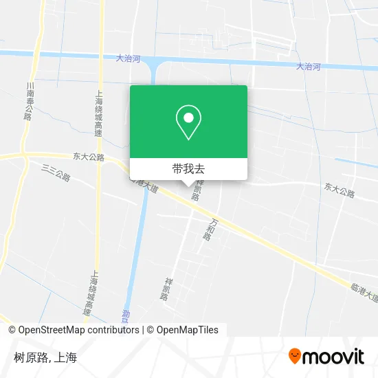 树原路地图