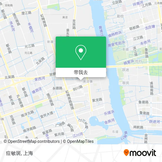痘敏斑地图