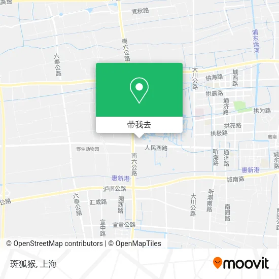 斑狐猴地图