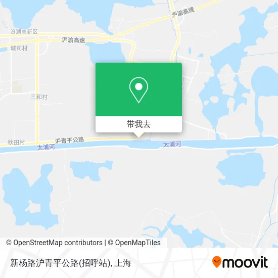 新杨路沪青平公路(招呼站)地图