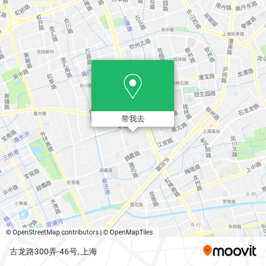 古龙路300弄-46号地图