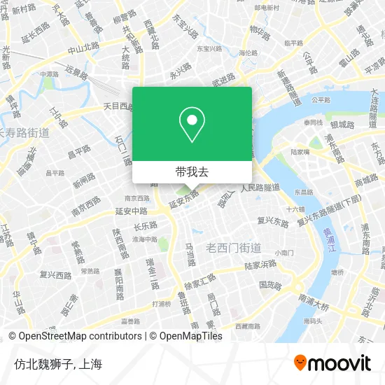 仿北魏狮子地图
