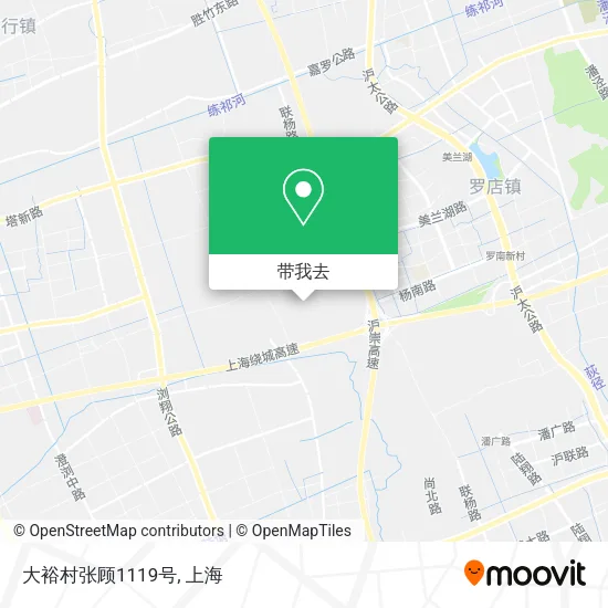 大裕村张顾1119号地图