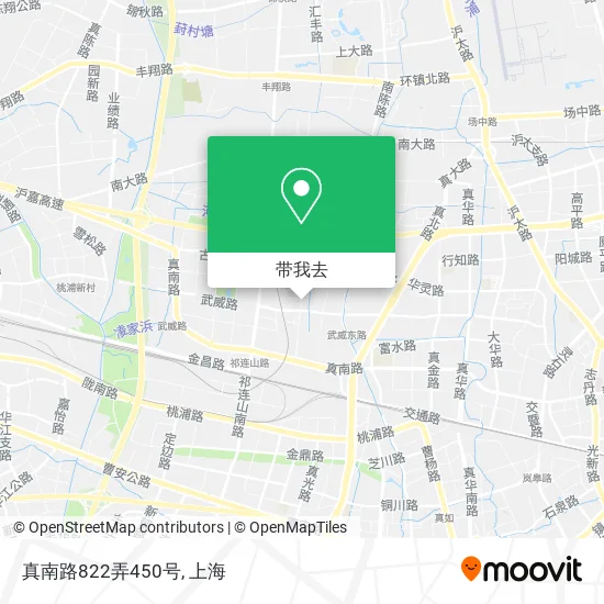 真南路822弄450号地图