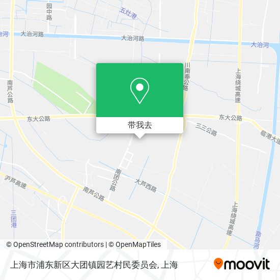 上海市浦东新区大团镇园艺村民委员会地图
