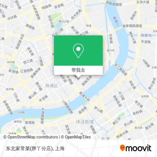 东北家常菜(胖丫分店)地图