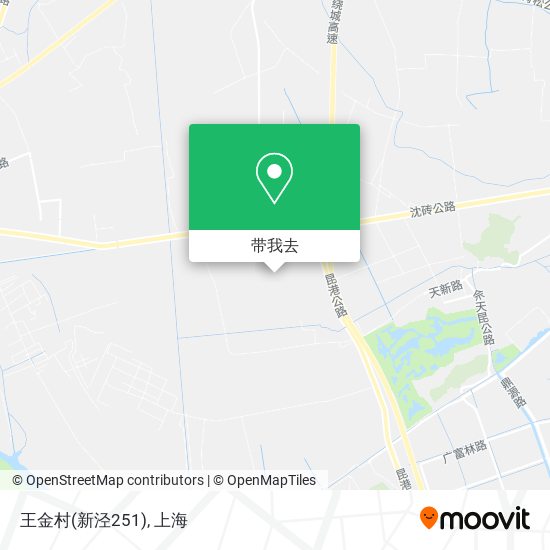 王金村(新泾251)地图