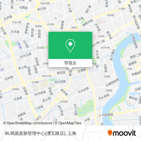 BL韩国皮肤管理中心(漕宝路店)地图
