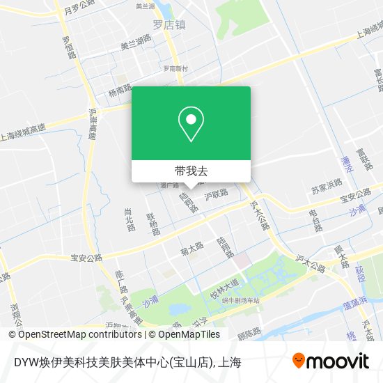 DYW焕伊美科技美肤美体中心(宝山店)地图