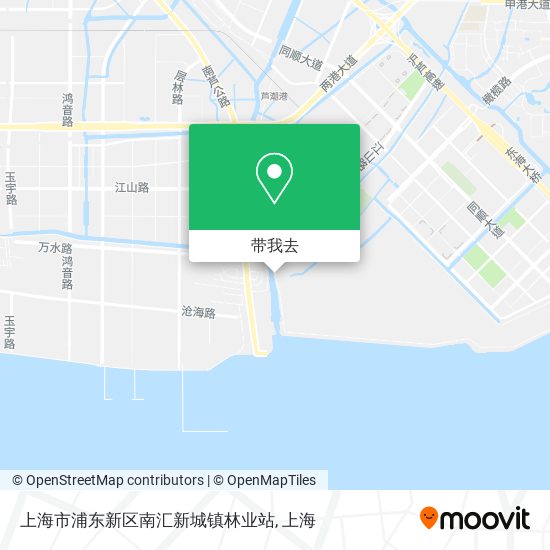 上海市浦东新区南汇新城镇林业站地图