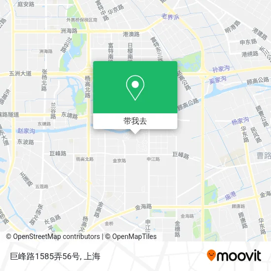 巨峰路1585弄56号地图