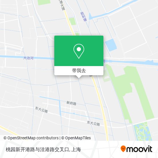 桃园新开港路与洼港路交叉口地图