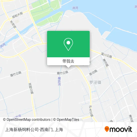上海新杨饲料公司-西南门地图