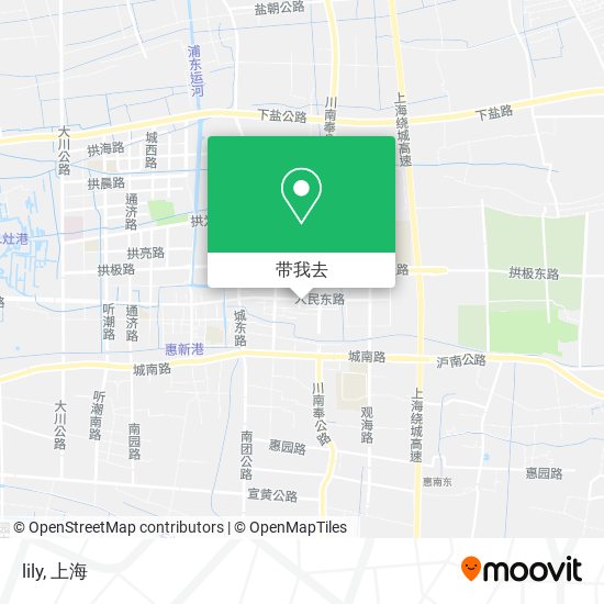 lily地图