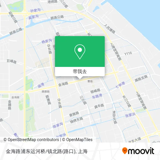 金海路浦东运河桥/镇北路(路口)地图