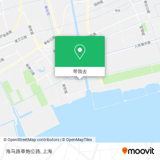 海马路奉炮公路地图