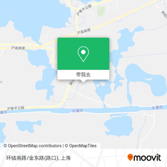 环镇南路/金东路(路口)地图