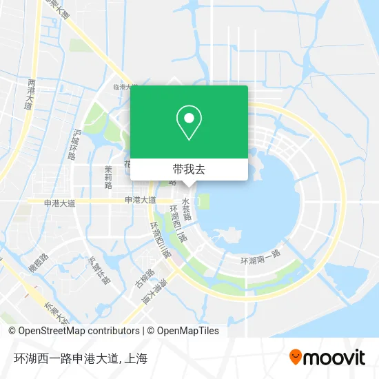 环湖西一路申港大道地图