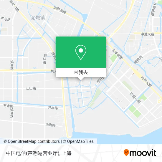中国电信(芦潮港营业厅)地图