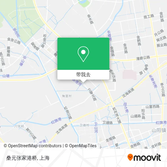 桑元张家港桥地图