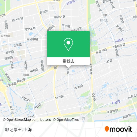 郭记票王地图